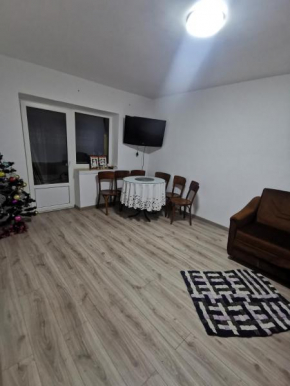Apartament-Comfort-PUTNA-Manastirea